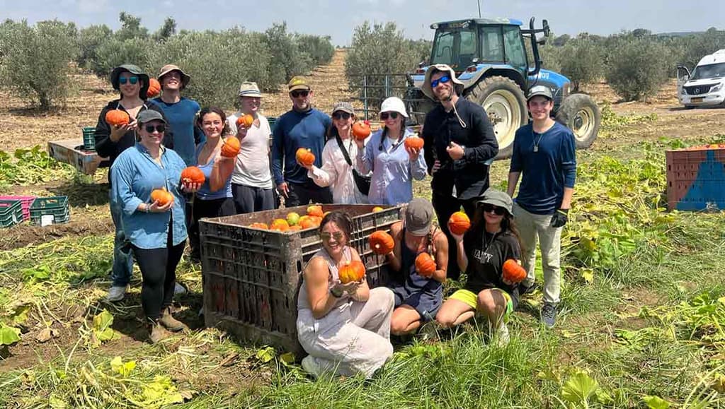 Picture of young people in a pumpkin patch