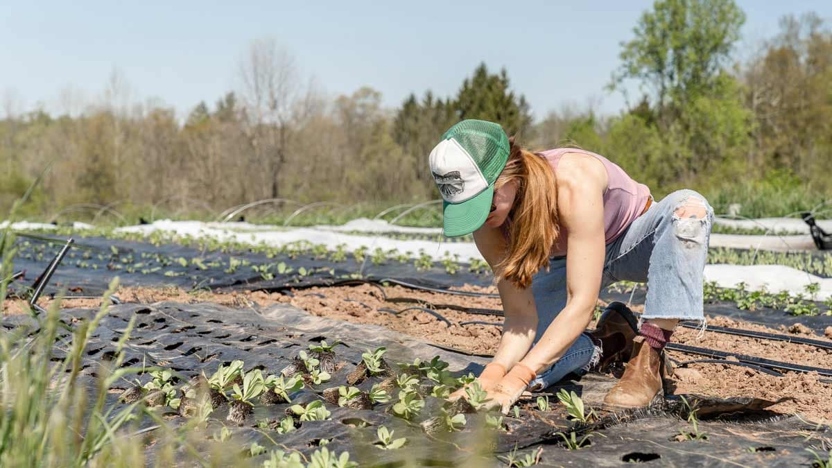 Woman tree plantings on Tu B’Shevat